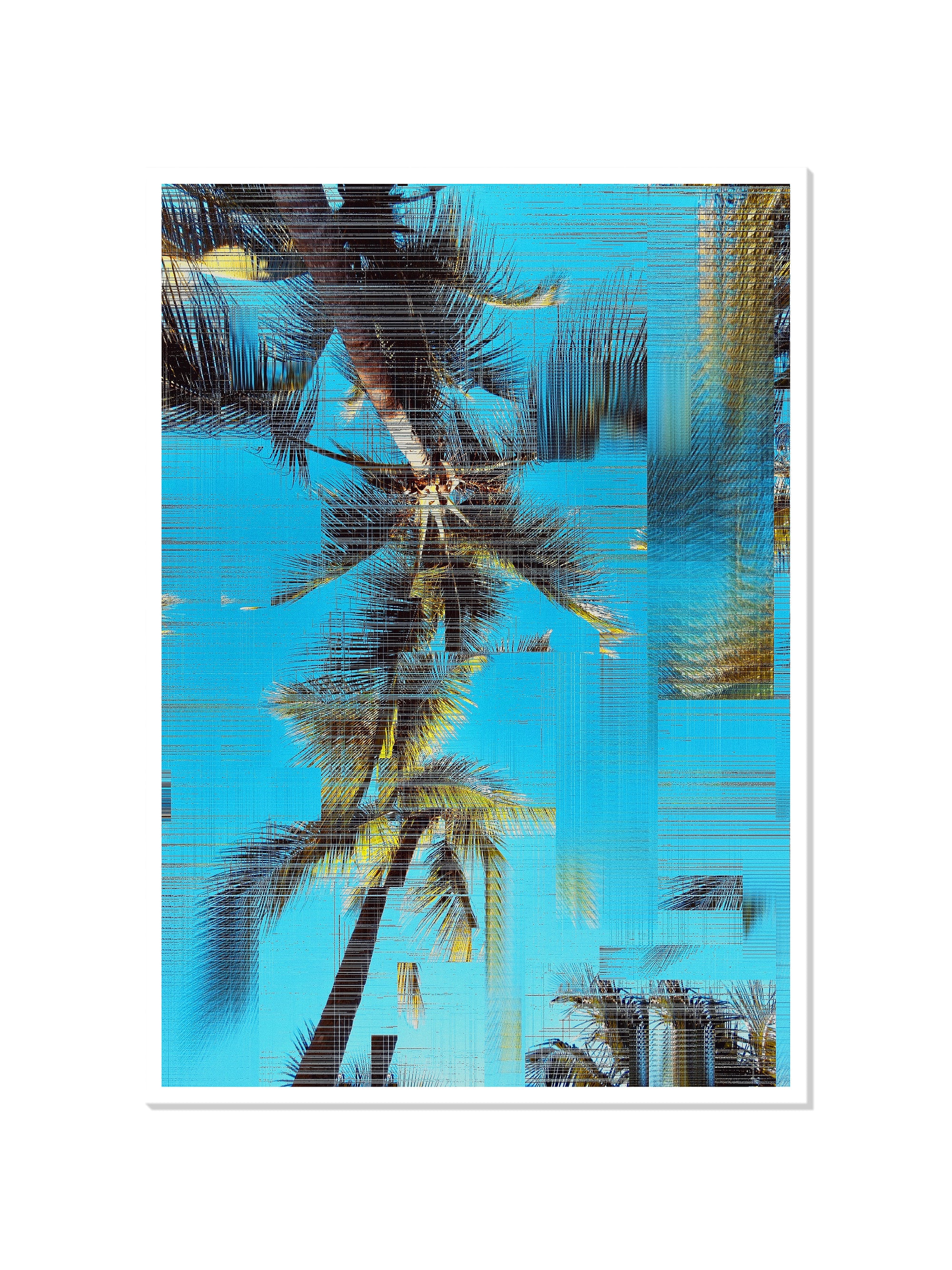 Arecaceae | Glitch 26.426 - Aaron Borchardt - Unframed |frame=Unframed|