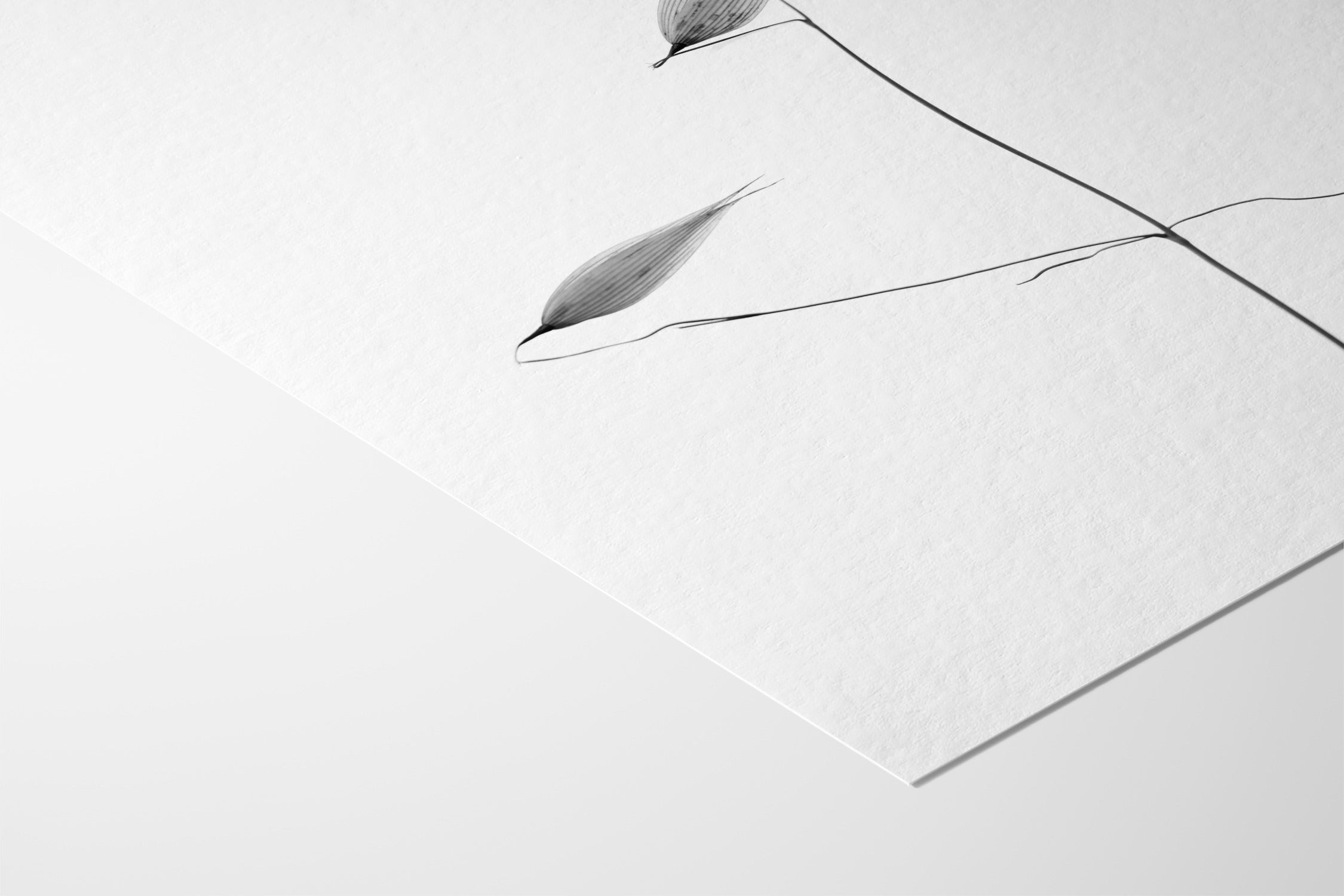 In light of current events IV - Tal Paz-Fridman - Fine Art Paper 200gsm |type=lifestyle|