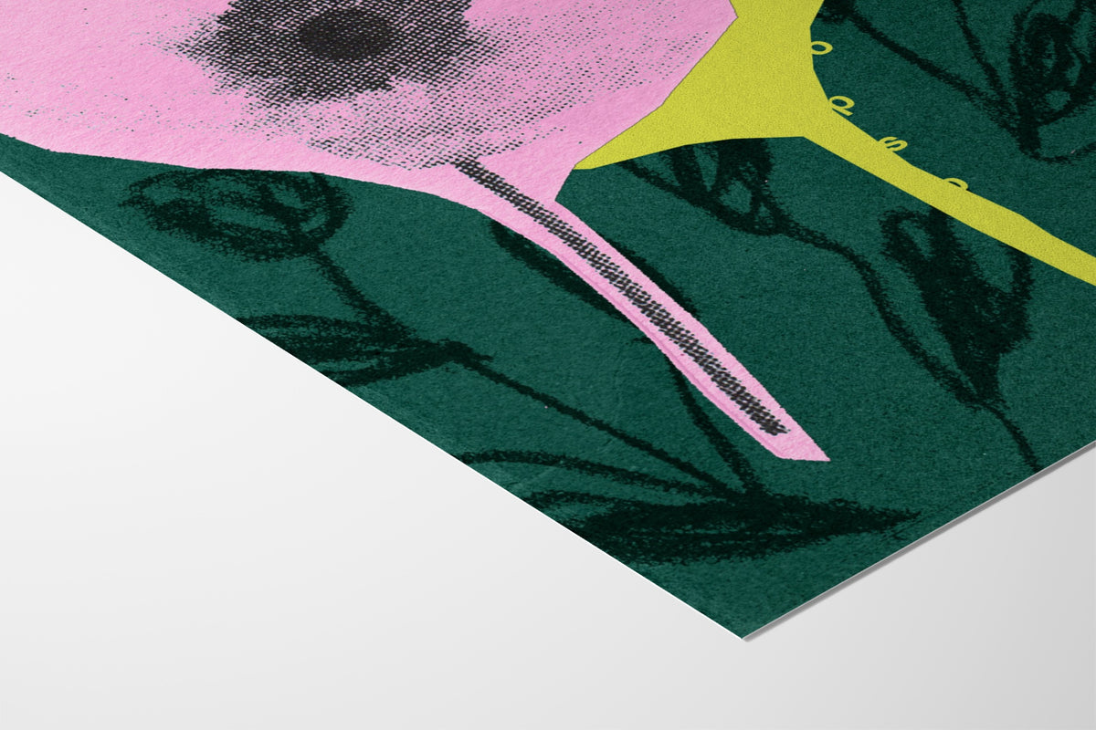 Anemone Flower - Sian Roper - Fine Art Paper 200gsm |type=paper|