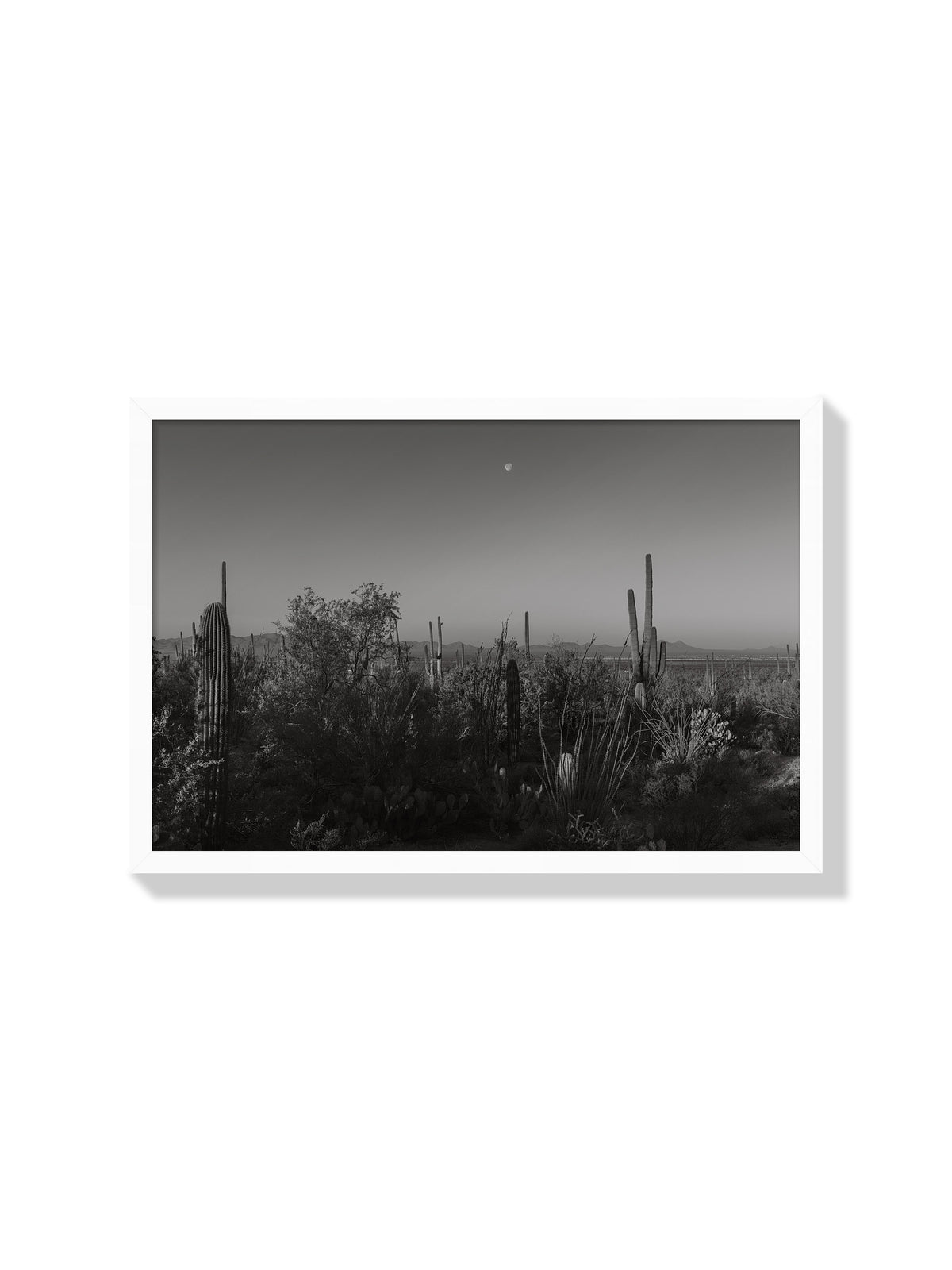 Moonlit Desert - Christina Bedetta Willett - White Frame |frame=White Frame|