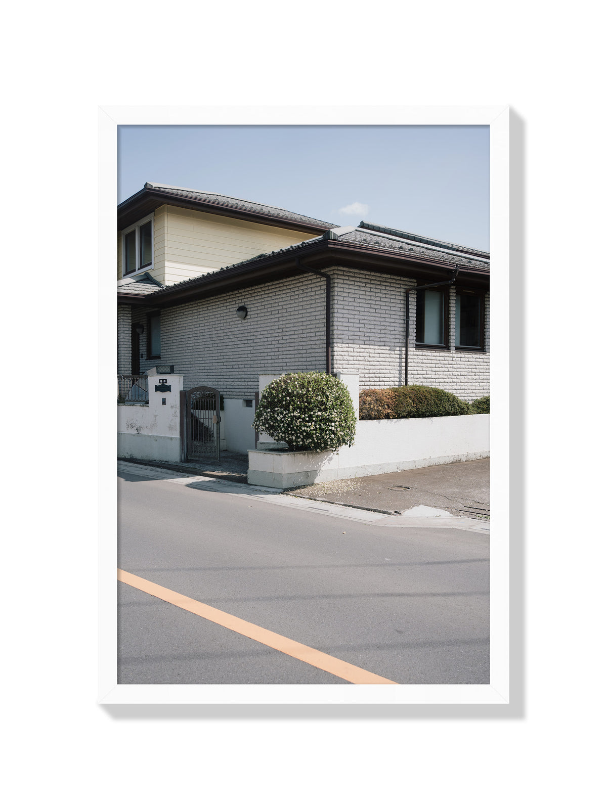 Fallen Petals - Jonny Gleason - White Frame |frame=White Frame|