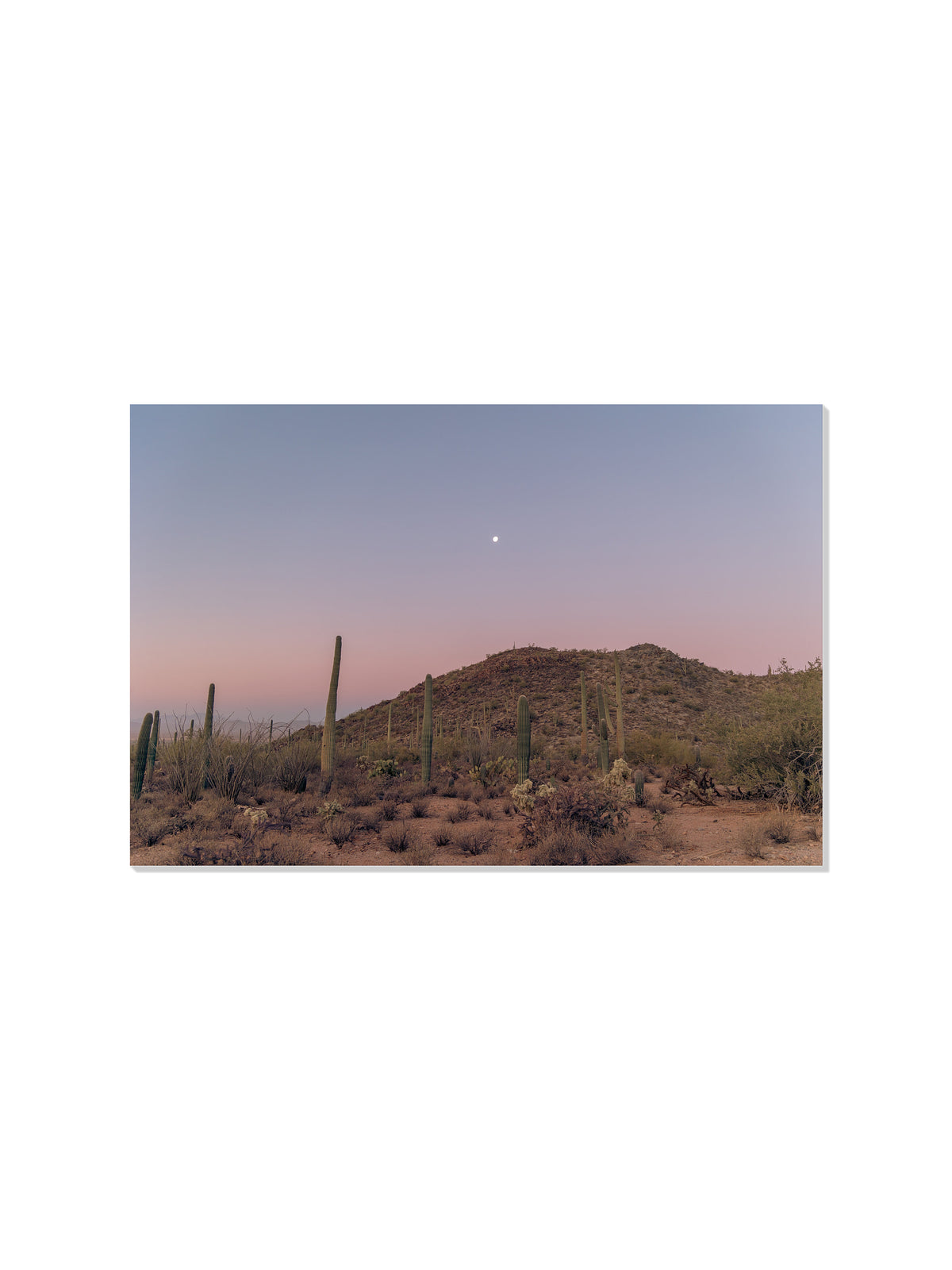 Desert Sunrise - Christina Bedetta Willett - Unframed |frame=Unframed|