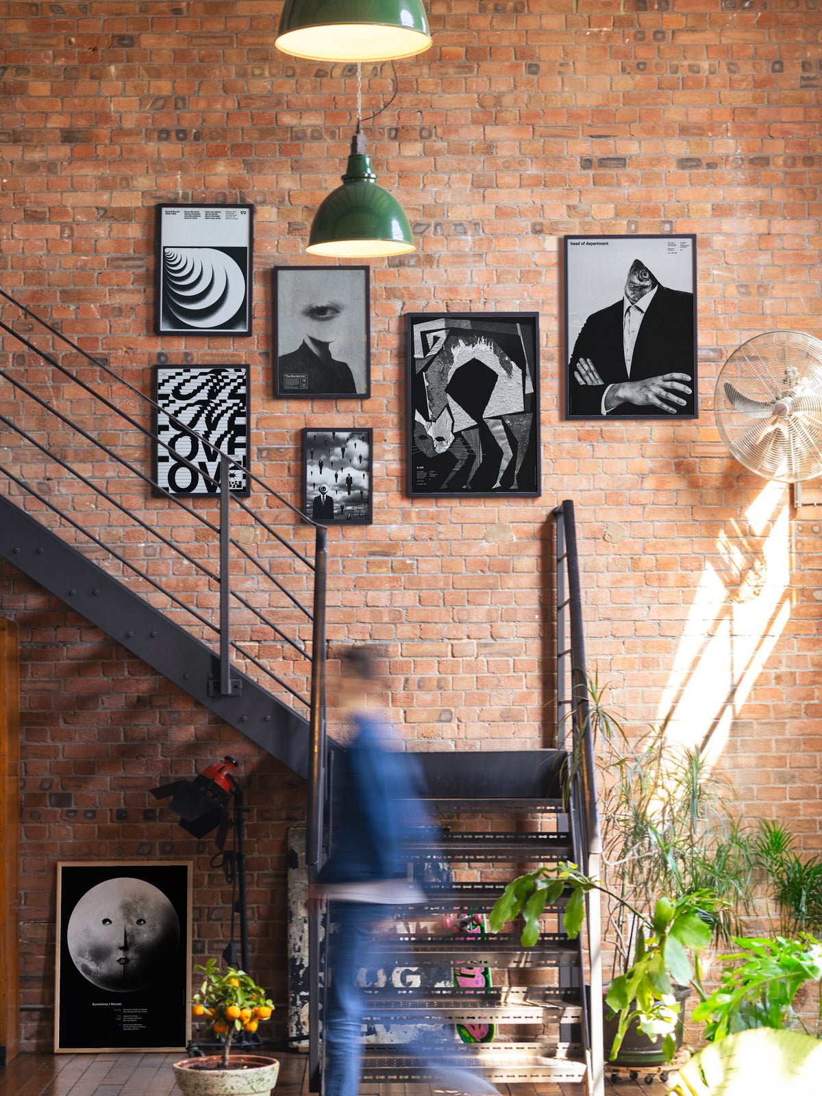 Cat - Meindl Taxer - A_GWBlack_080726 |type=gallerywall|