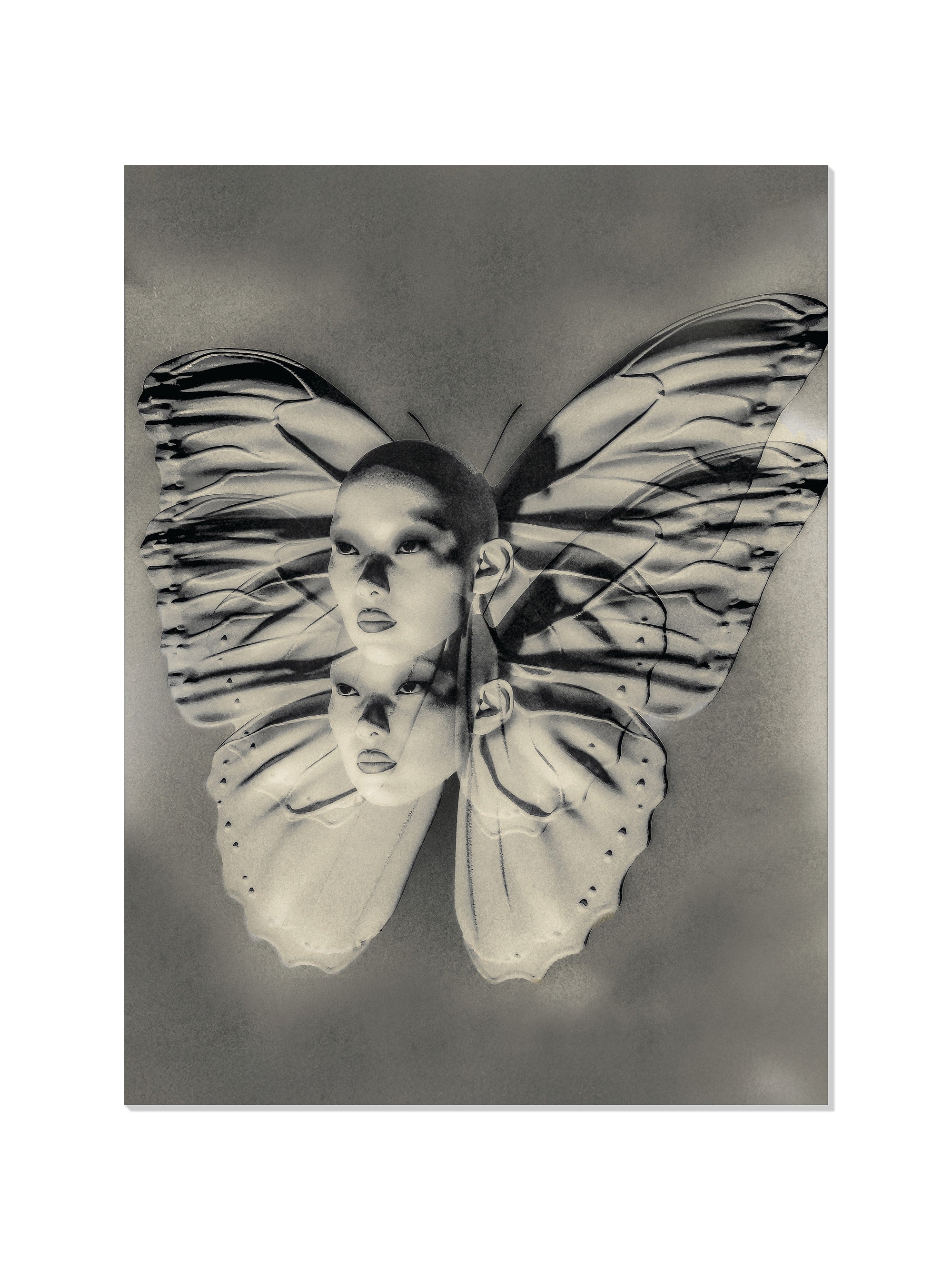 Metamorphosis Phase II - Denisa Rahma - Unframed |frame=Unframed|