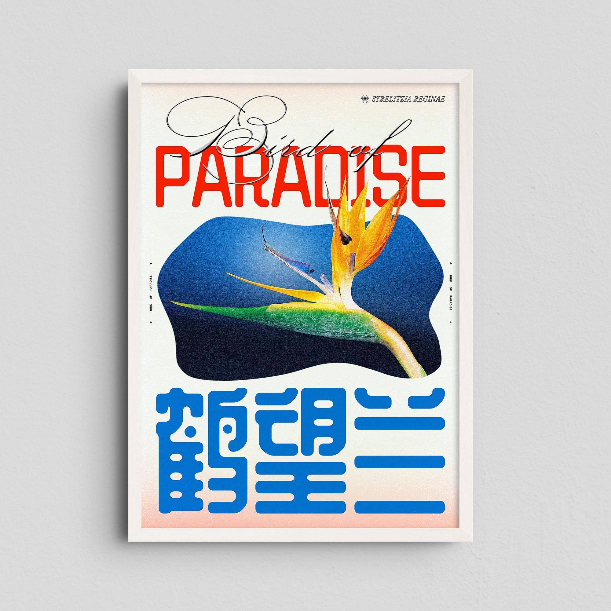 Bird of Paradise - Epi.to.me