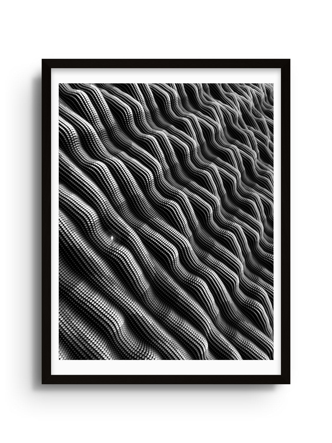 Exoskeleton - Michael Strevens - East Side Studio - Art Prints