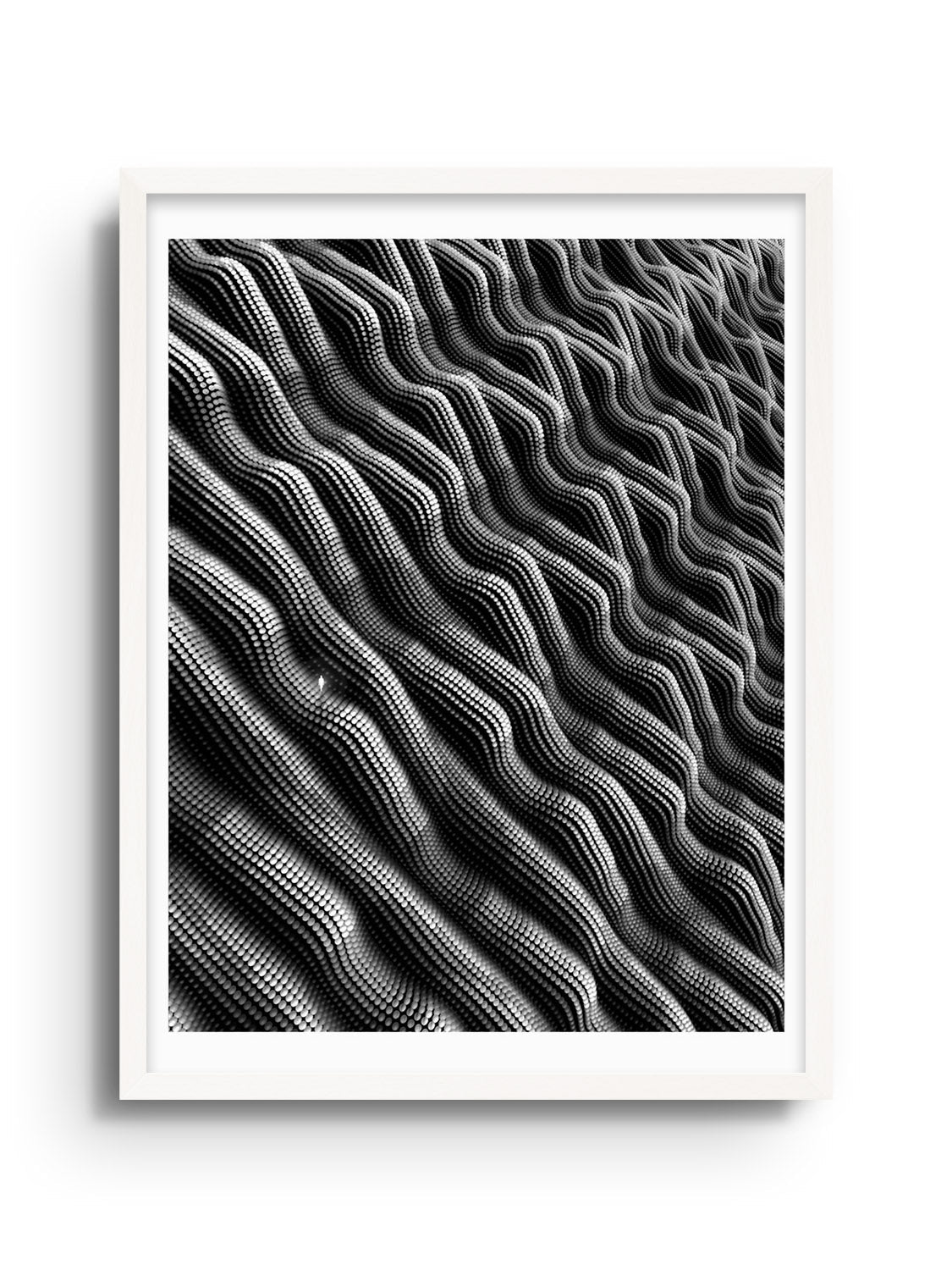 Exoskeleton - Michael Strevens - East Side Studio - Art Prints