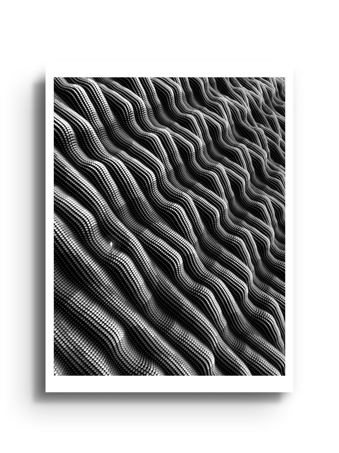 Exoskeleton - Michael Strevens - East Side Studio - Art Prints