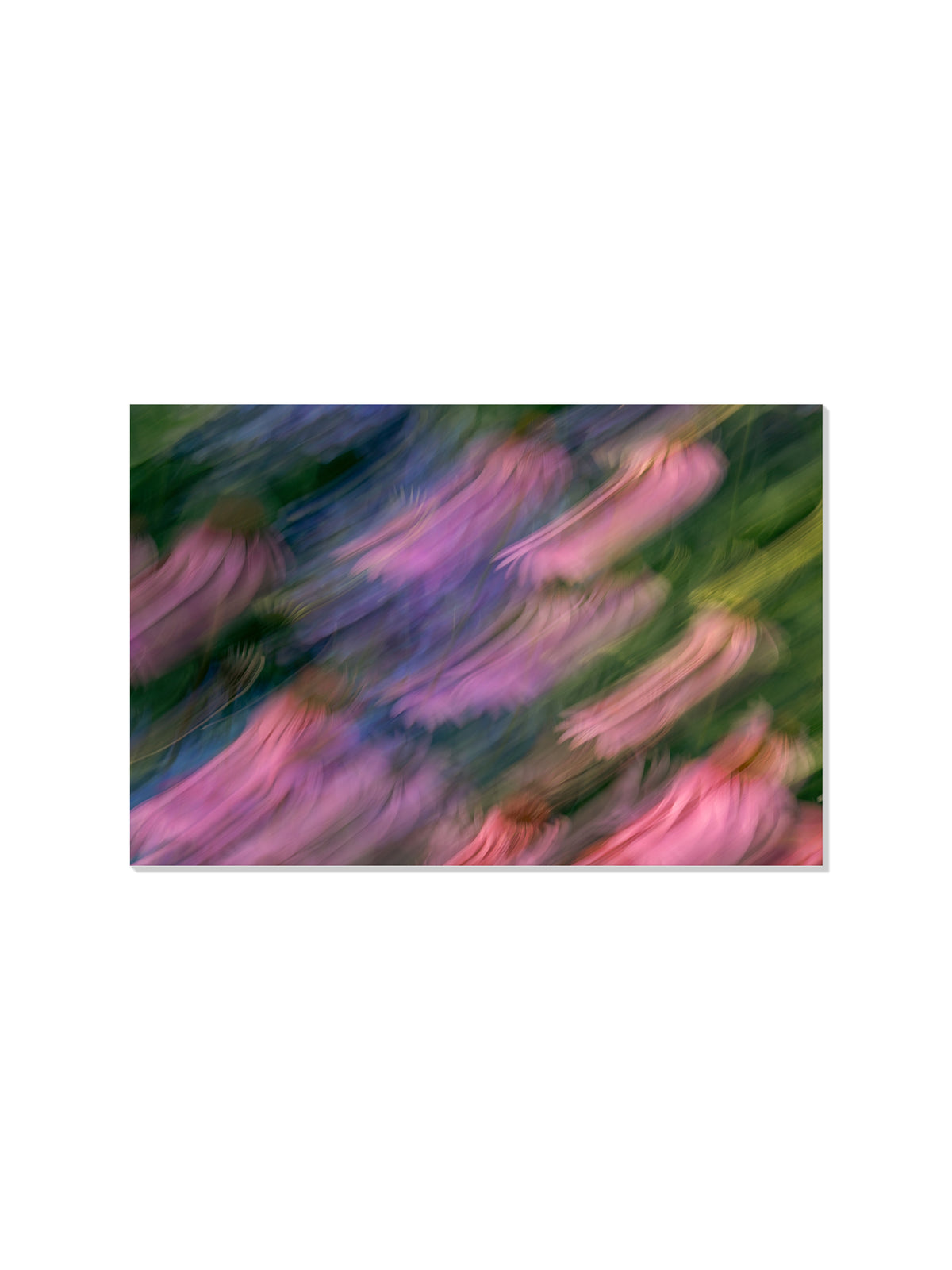 Floral Brushstrokes - Christina Bedetta Willett - Unframed |frame=Unframed|