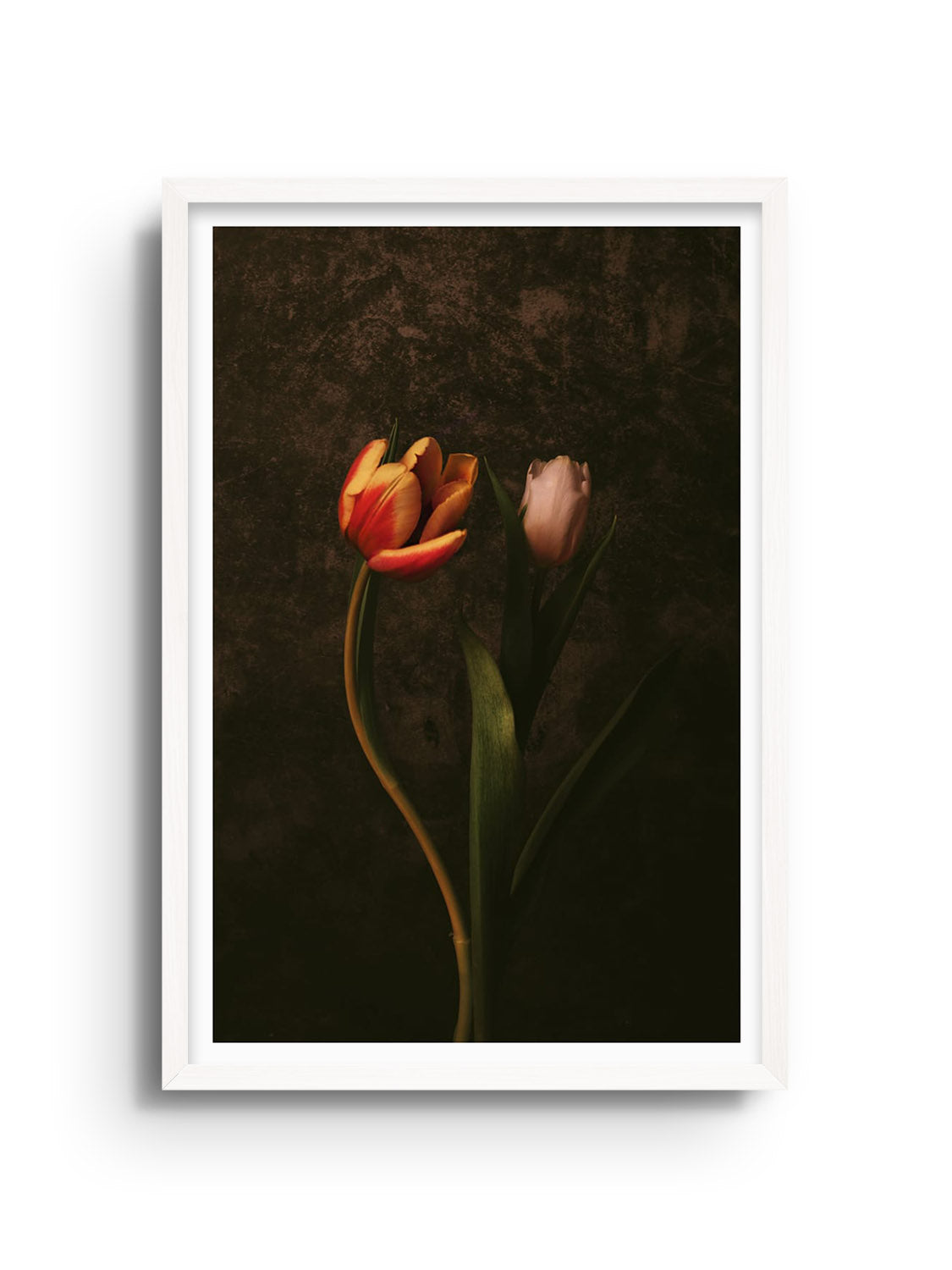Fine art print "The Dance" by Will Arden displayed in white frame, enhancing modern home or office decor. |frame=White Frame|
