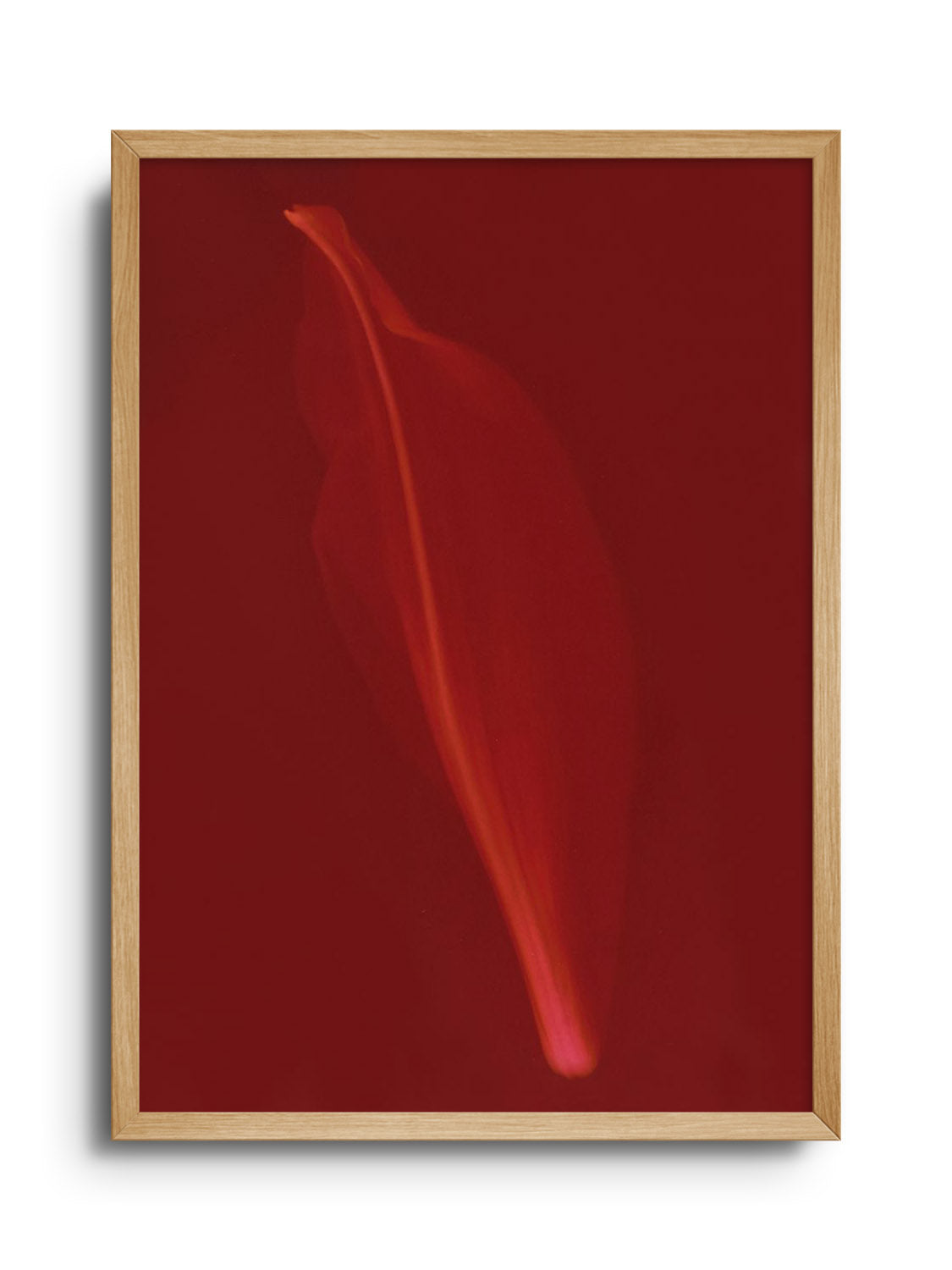 "Petal" fine art print by Simran Pravin displayed in natural frame |frame=Natural Frame|