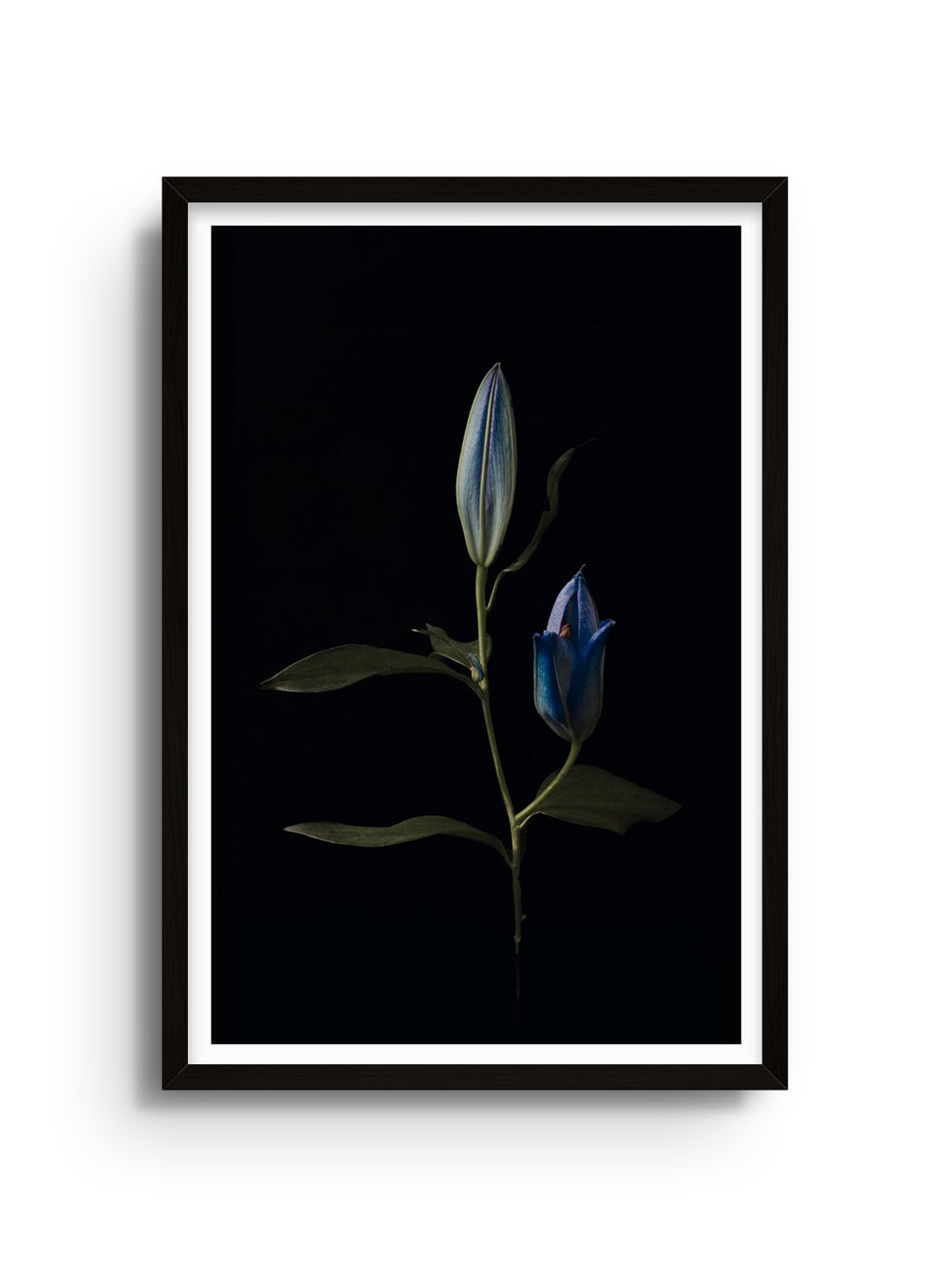 Fine art print "Balanced Form #2" by Will Arden in black frame. |frame=Black Frame|