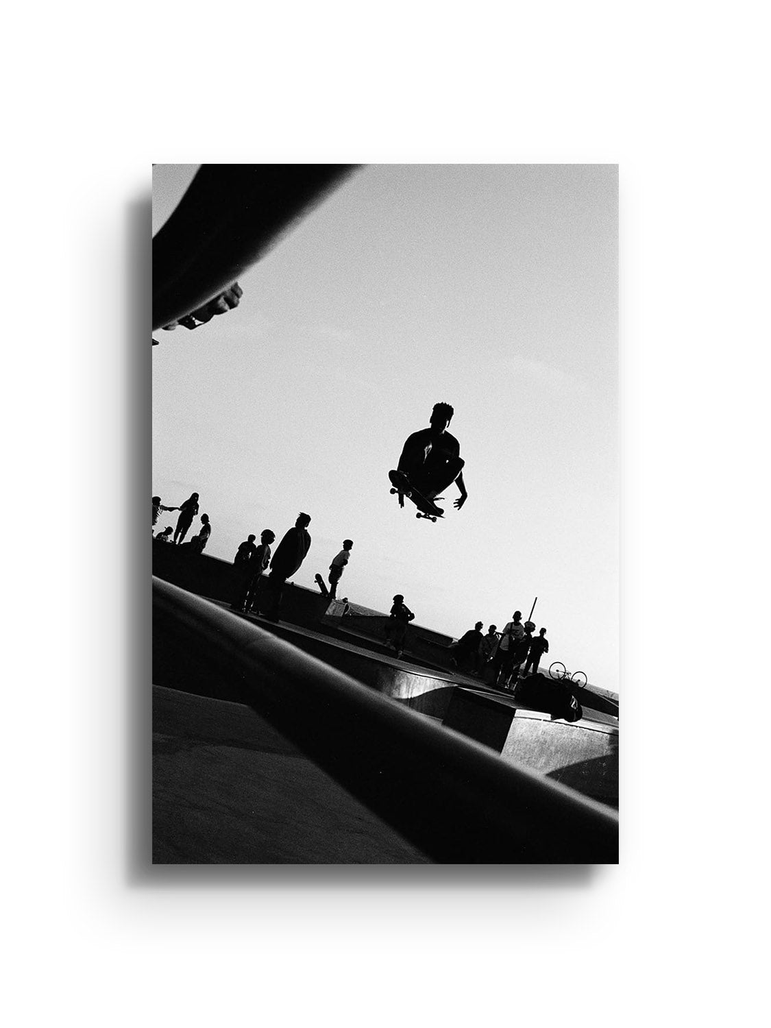 "Taking Flight" fine art print by Adam Sherrett, displayed as an unframed print, showcasing dynamic bird imagery. |frame=Unframed|