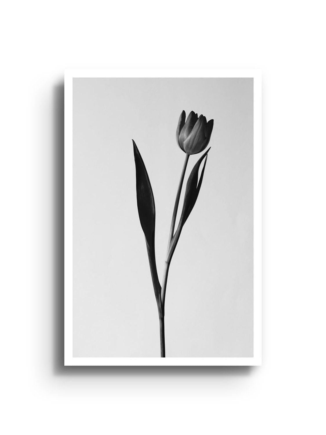 "Balanced Form #3" fine art print by Will Arden displayed unframed, showcasing abstract design and modern aesthetics. |frame=Unframed|