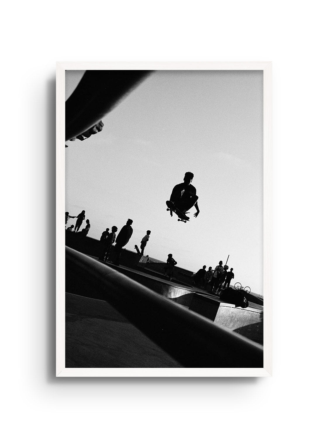 "Taking Flight" fine art print by Adam Sherrett in white frame, showcasing dynamic birds in flight. |frame=White Frame|