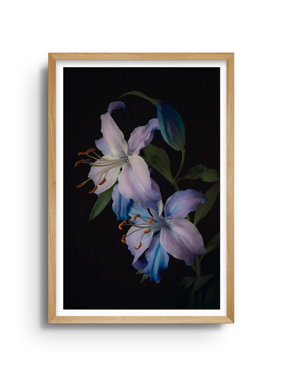 "Two Lilies" fine art print by Will Arden in natural frame displaying two elegant lily flowers. |frame=Natural Frame|