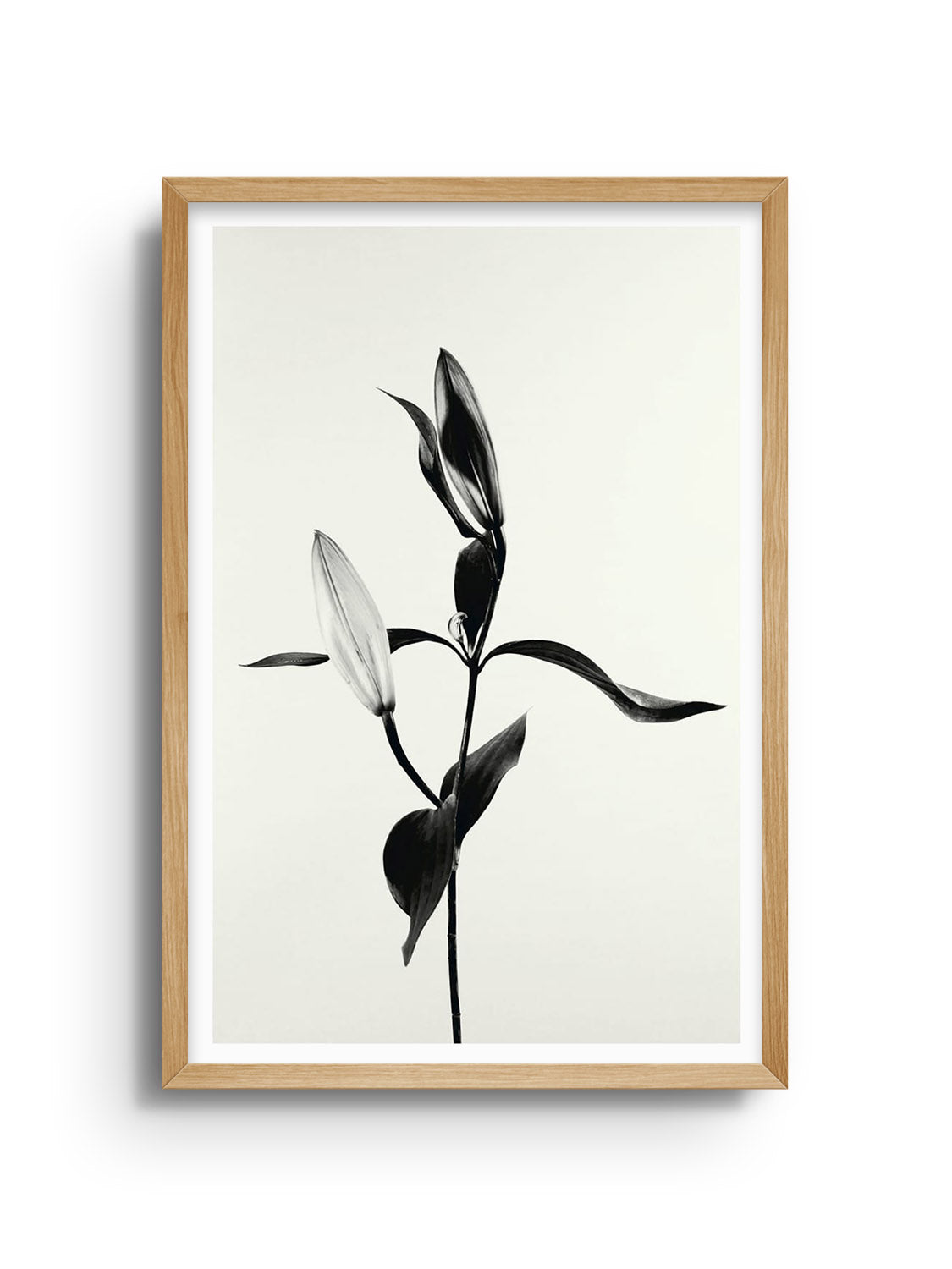 "Balanced Form #1 fine art print by Will Arden in Natural Frame, showcasing abstract shapes and harmonious colors." |frame=Natural Frame|