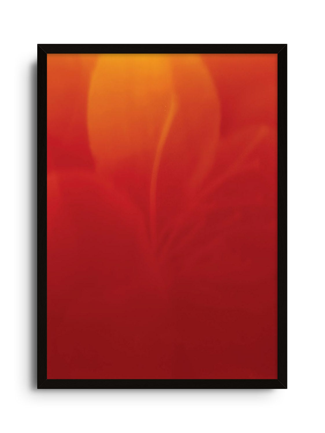 "But They Are Pretty" by Simran Pravin, fine art print in black frame. |frame=Black Frame|