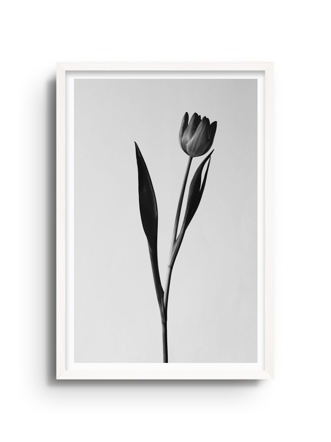 Fine art print "Balanced Form #3" by Will Arden in white frame |frame=White Frame|