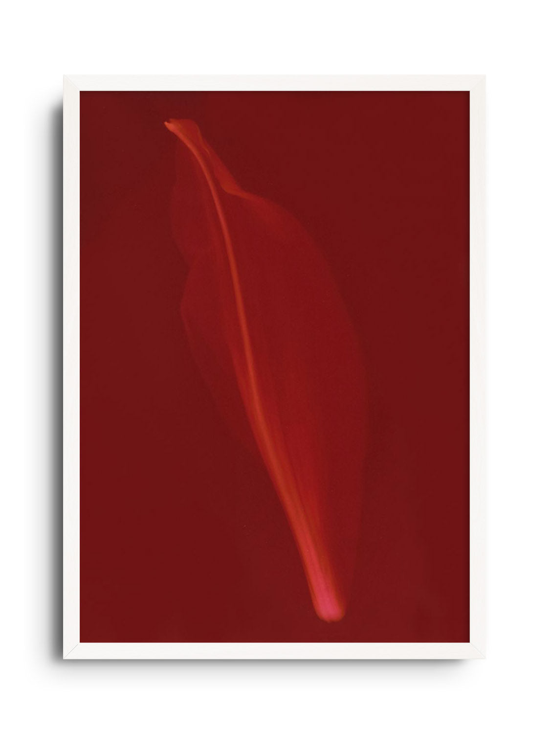 Fine art print "Petal" by Simran Pravin in white frame showing vibrant abstract floral design. |frame=White Frame|