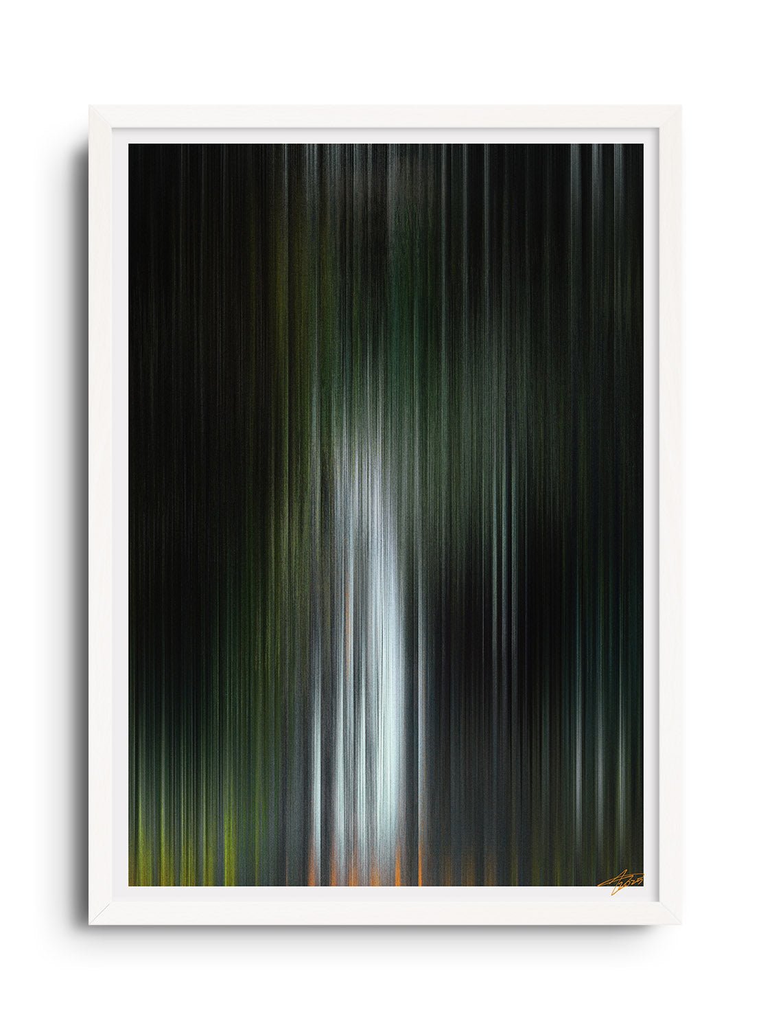 Glitch 25.804 - Botanical Refraction - Aaron Borchardt