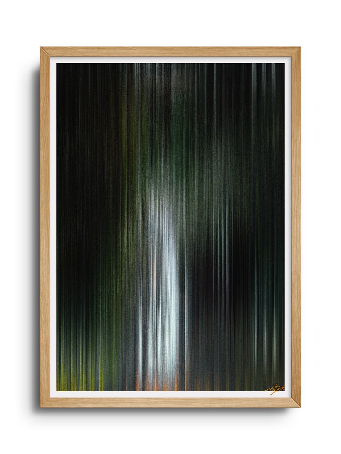 Glitch 25.804 - Botanical Refraction - Aaron Borchardt