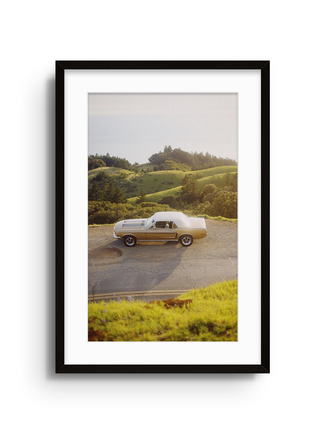 Golden Pony - Gelstang - East Side Studio - Art Prints