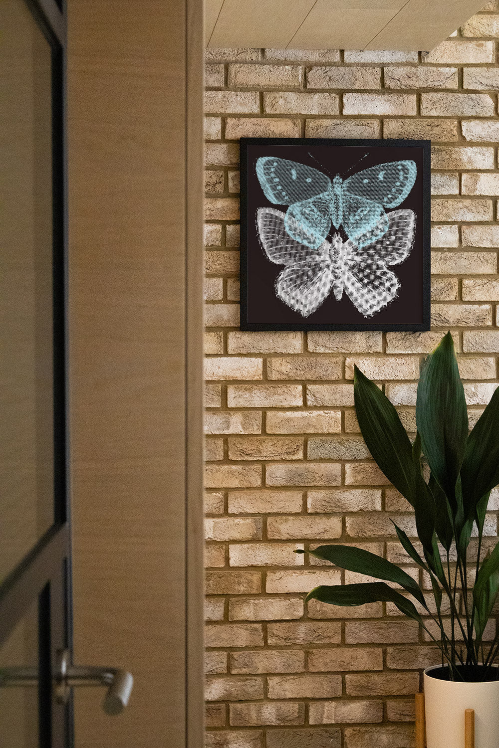 Set Free - Fifth Layer - East Side Studio - Art Prints