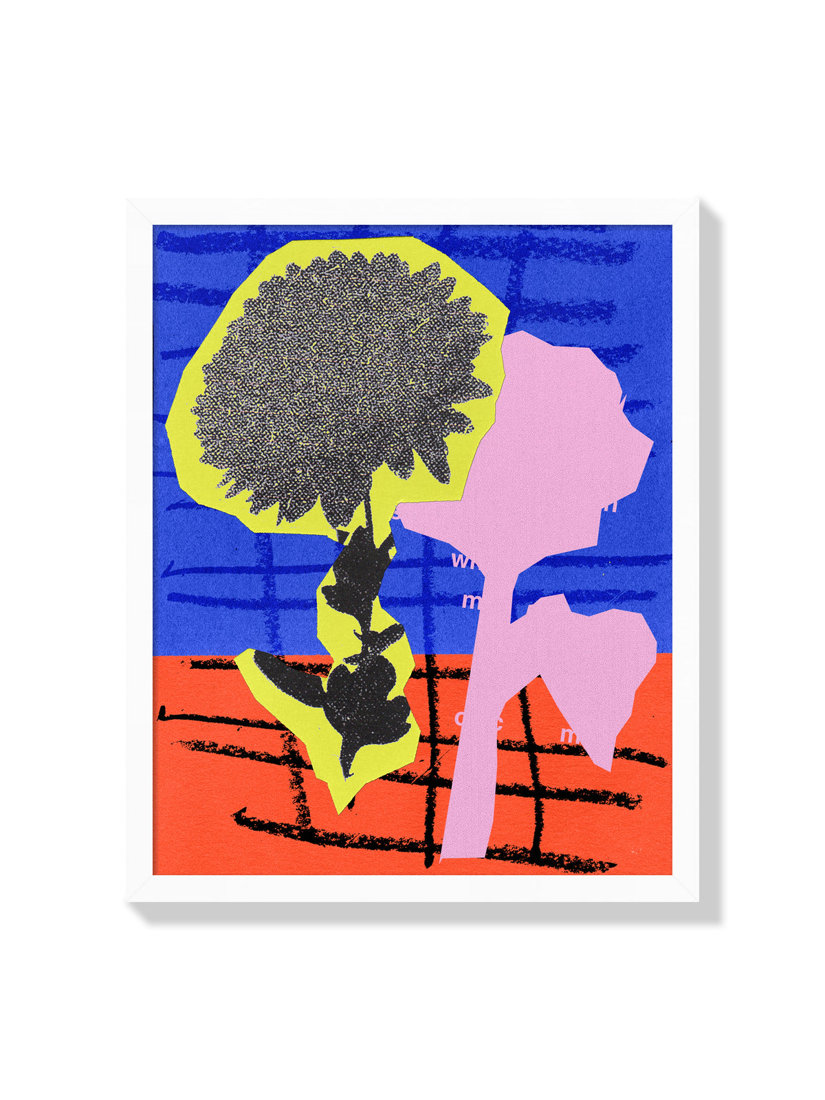 Chrysanthemum Flower - Sian Roper - White Frame |frame=White Frame|