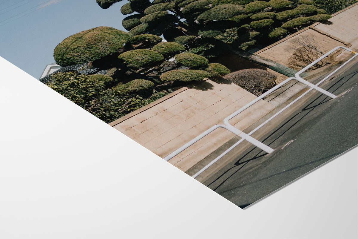 Drooping Topiary - Jonny Gleason - Fine Art Paper 200gsm |type=paper|