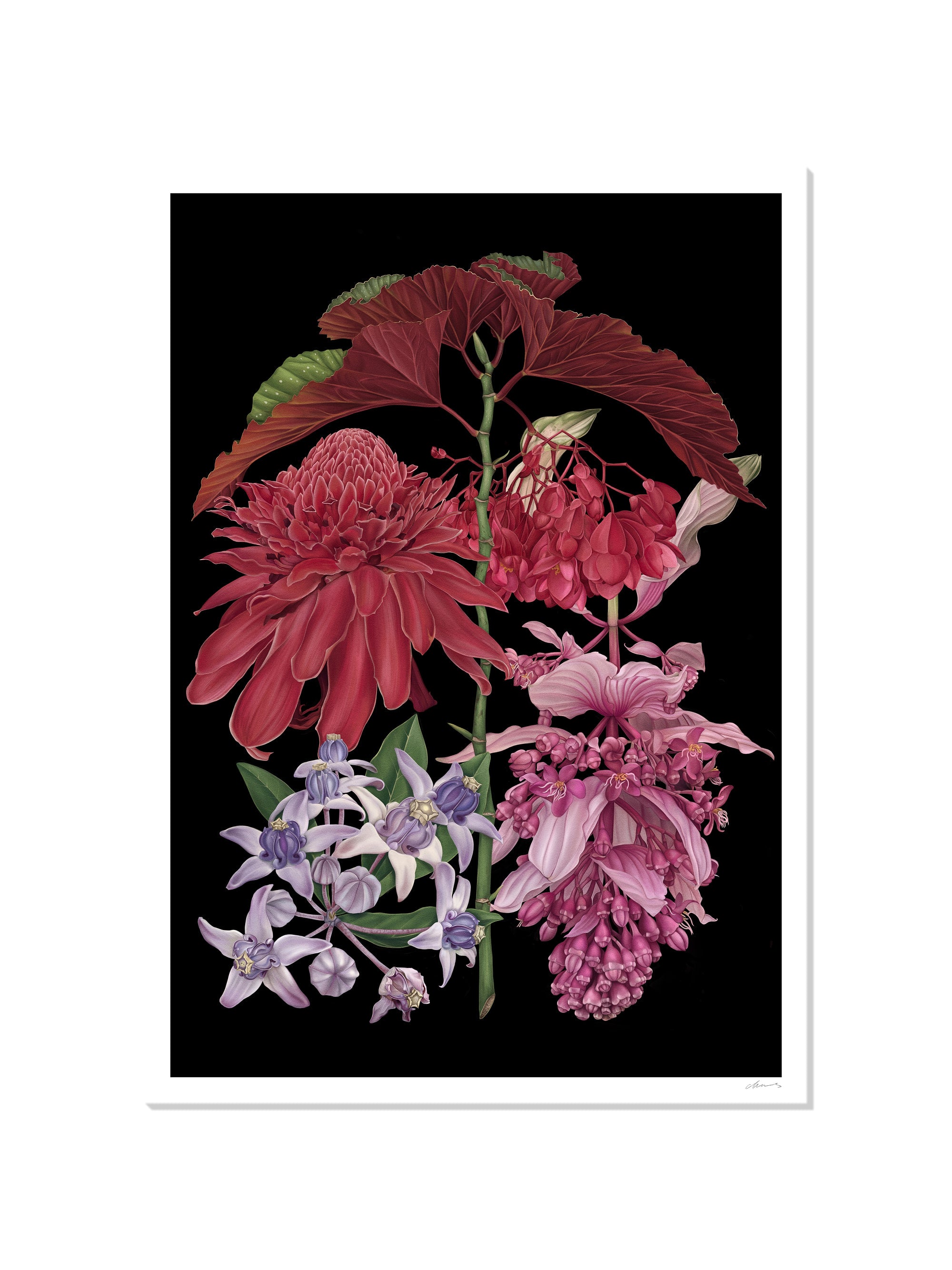 Bali - Chloe Shao - Unframed |frame=Unframed|
