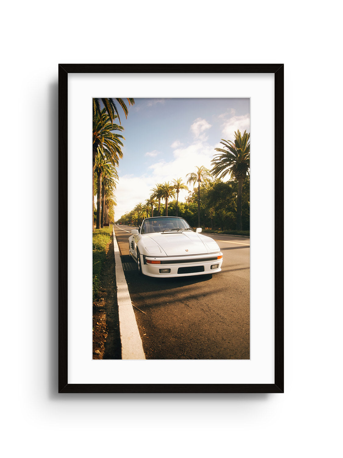 Palms & Porsche - Gelstang