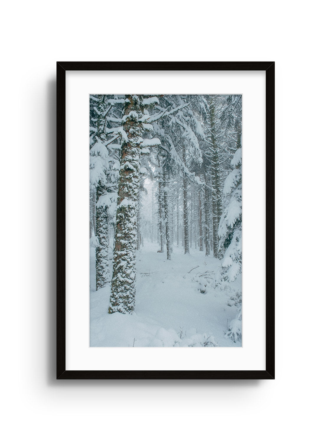 Snowdonia - Valentin Meaux