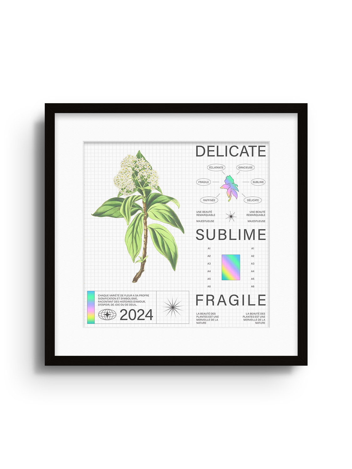 Delicate - Matéo Mace