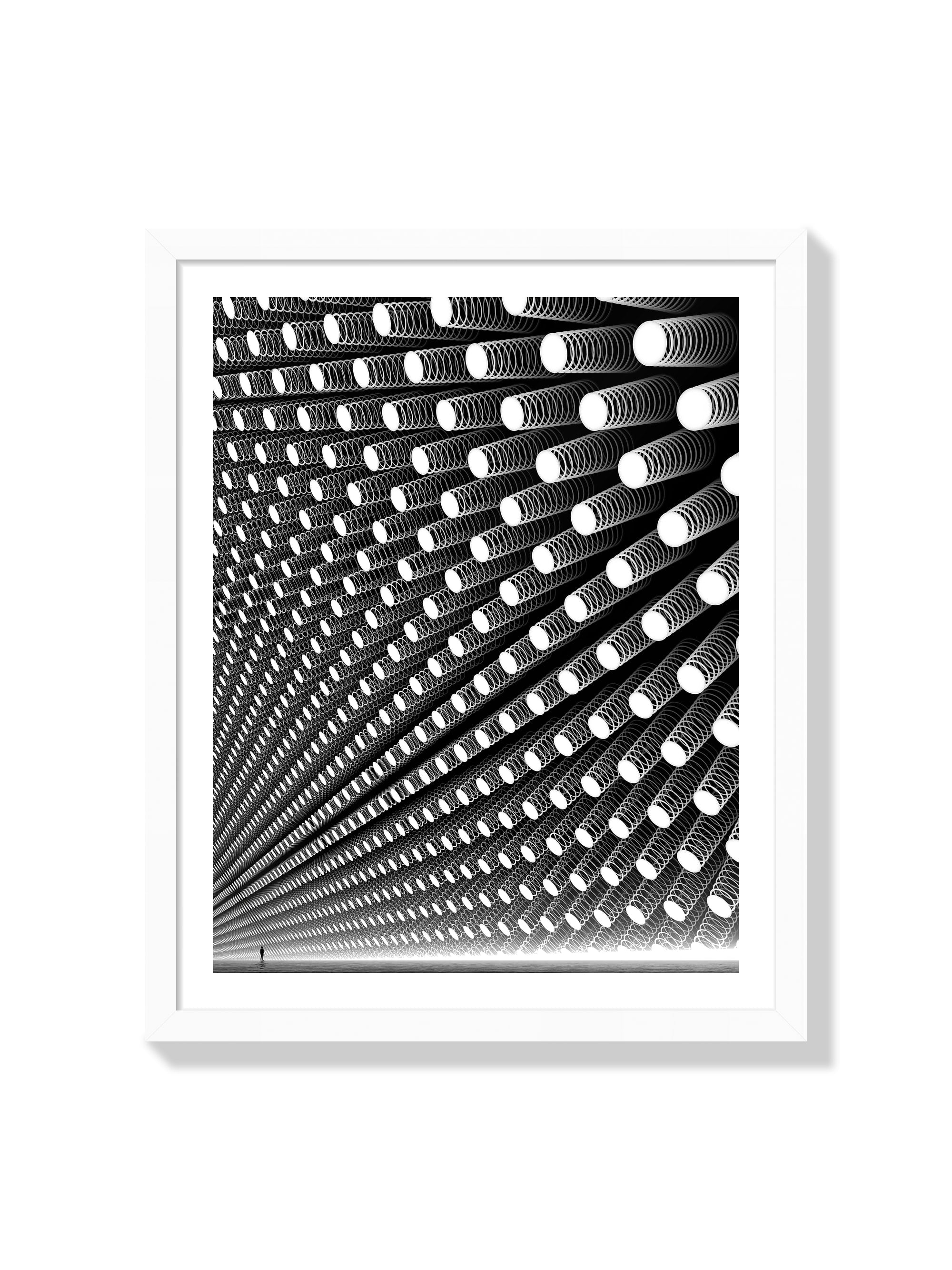 Litany - Michael Strevens - White Frame |frame=White Frame|