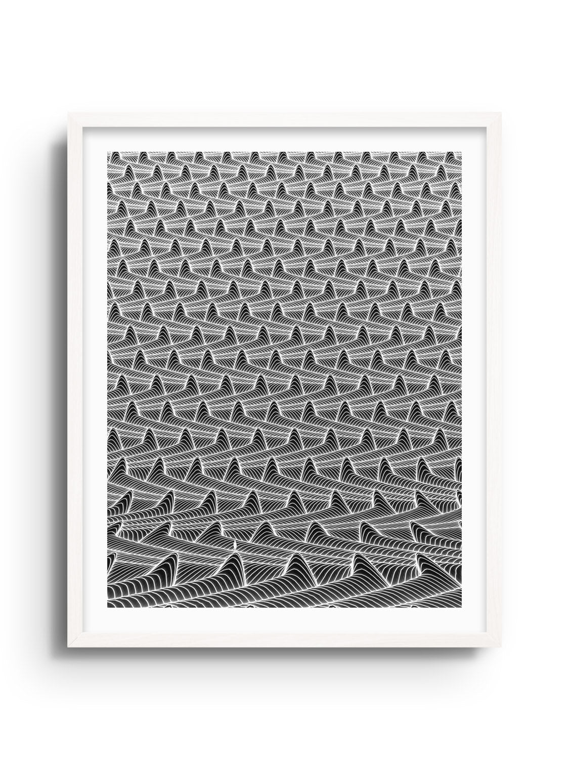 Illumination Harvest - Michael Strevens