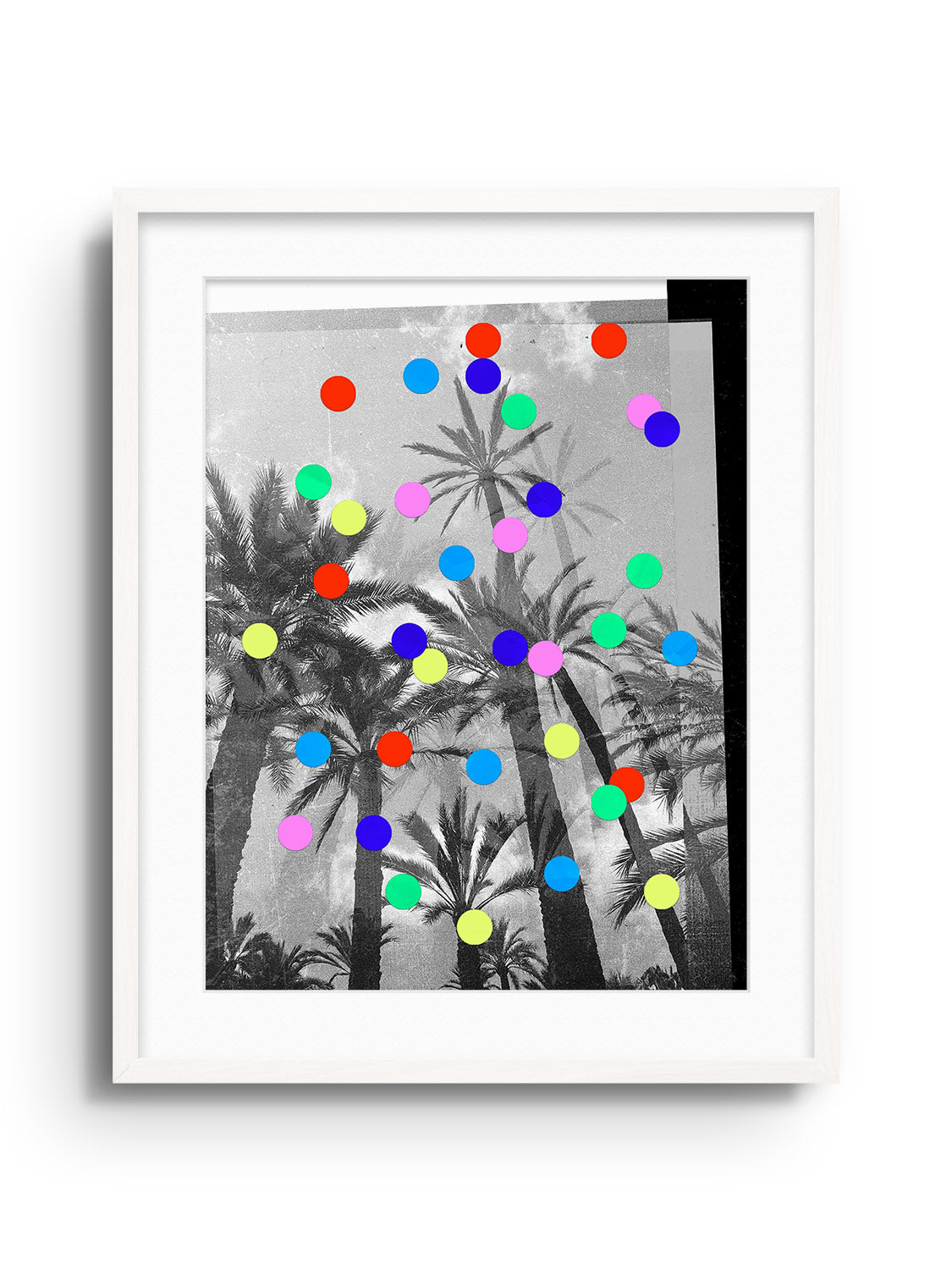 Confetti Palms - Sian Roper