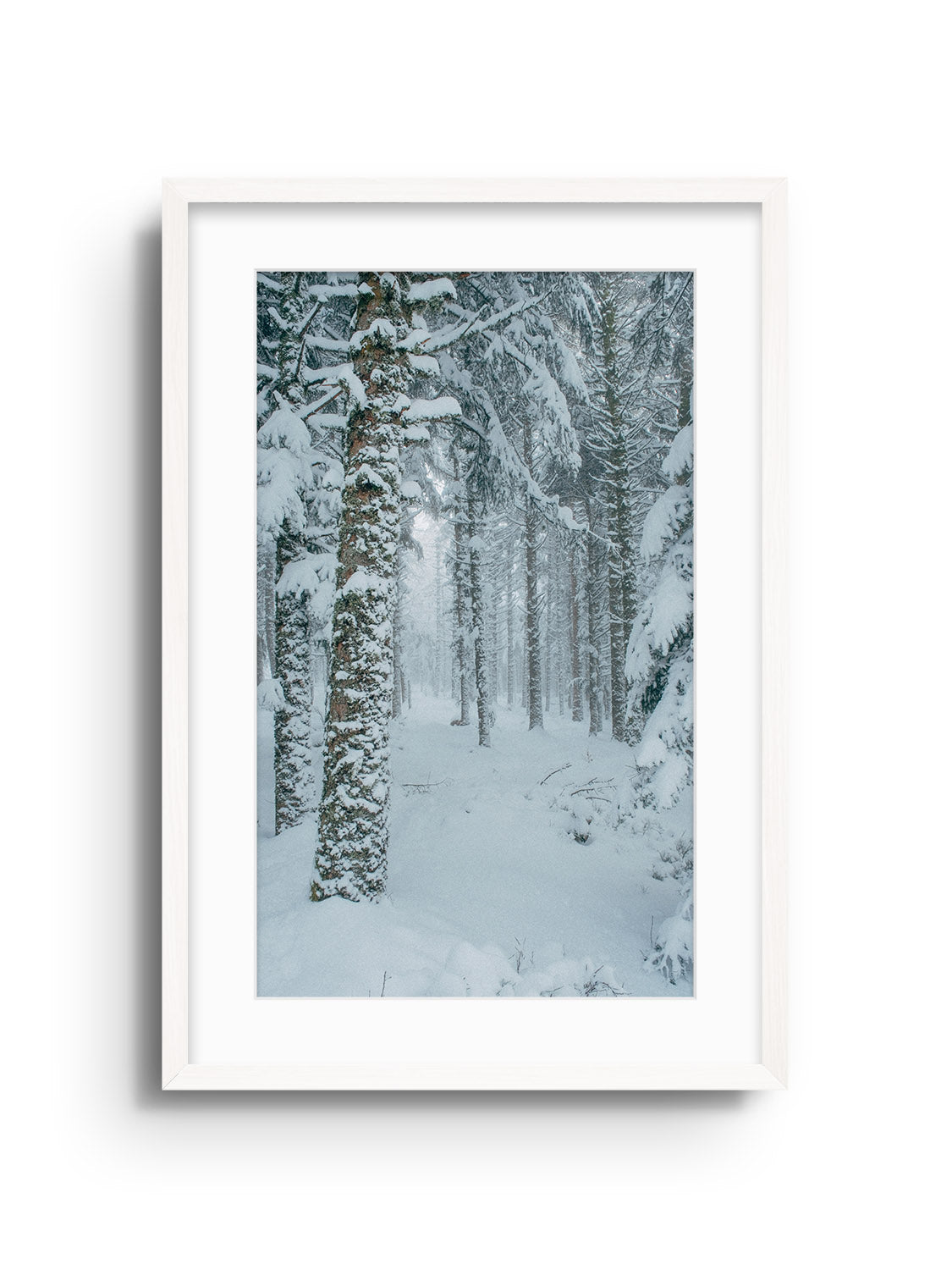 Snowdonia - Valentin Meaux