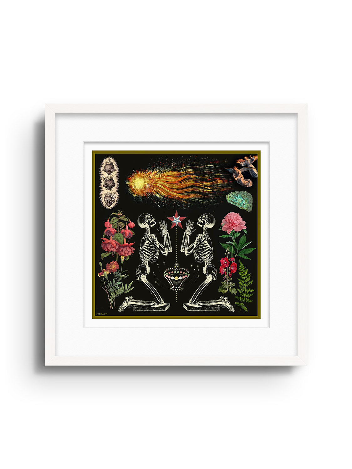 COMET - Louis Fishauf