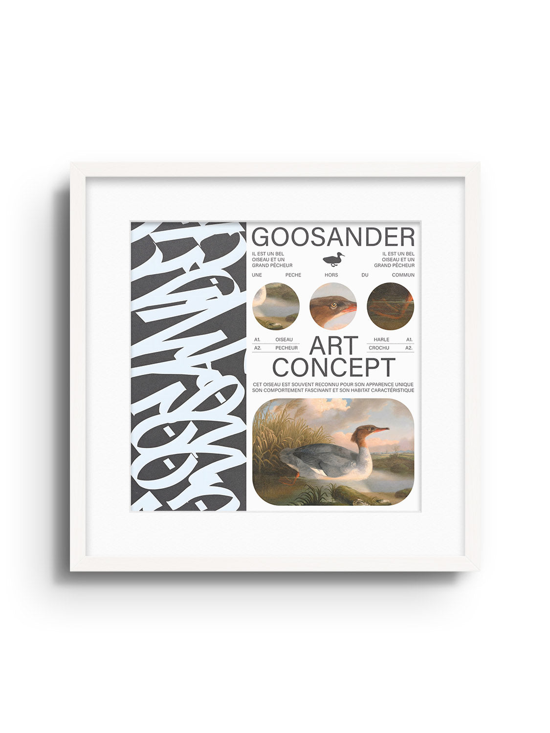 Goosander - Matéo Mace