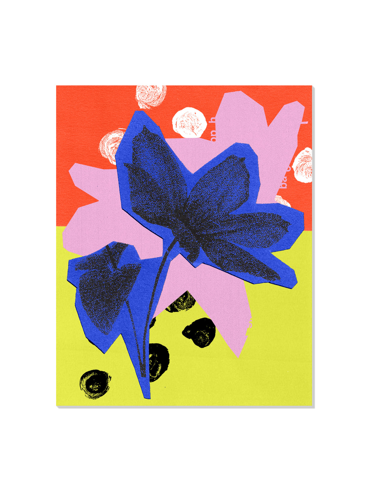 Clematis Flower - Sian Roper - Unframed |frame=Unframed|