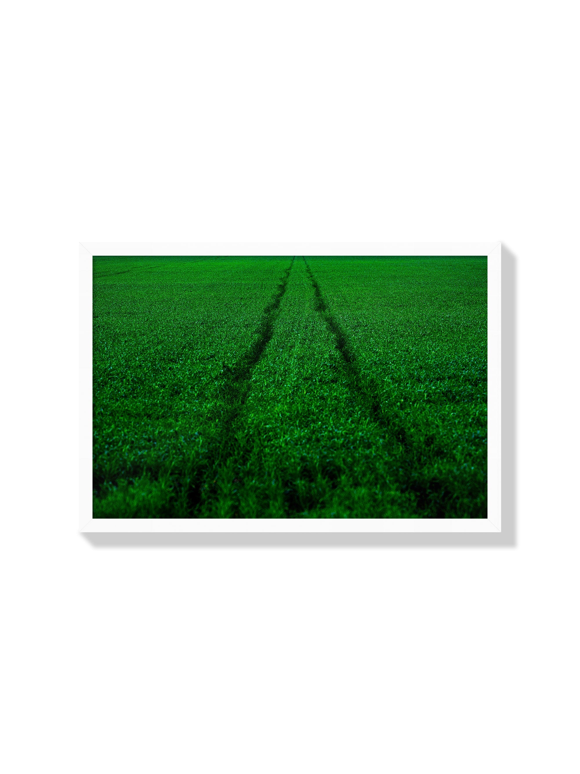 Track and Field - Tal Paz-Fridman - White Frame |frame=White Frame|