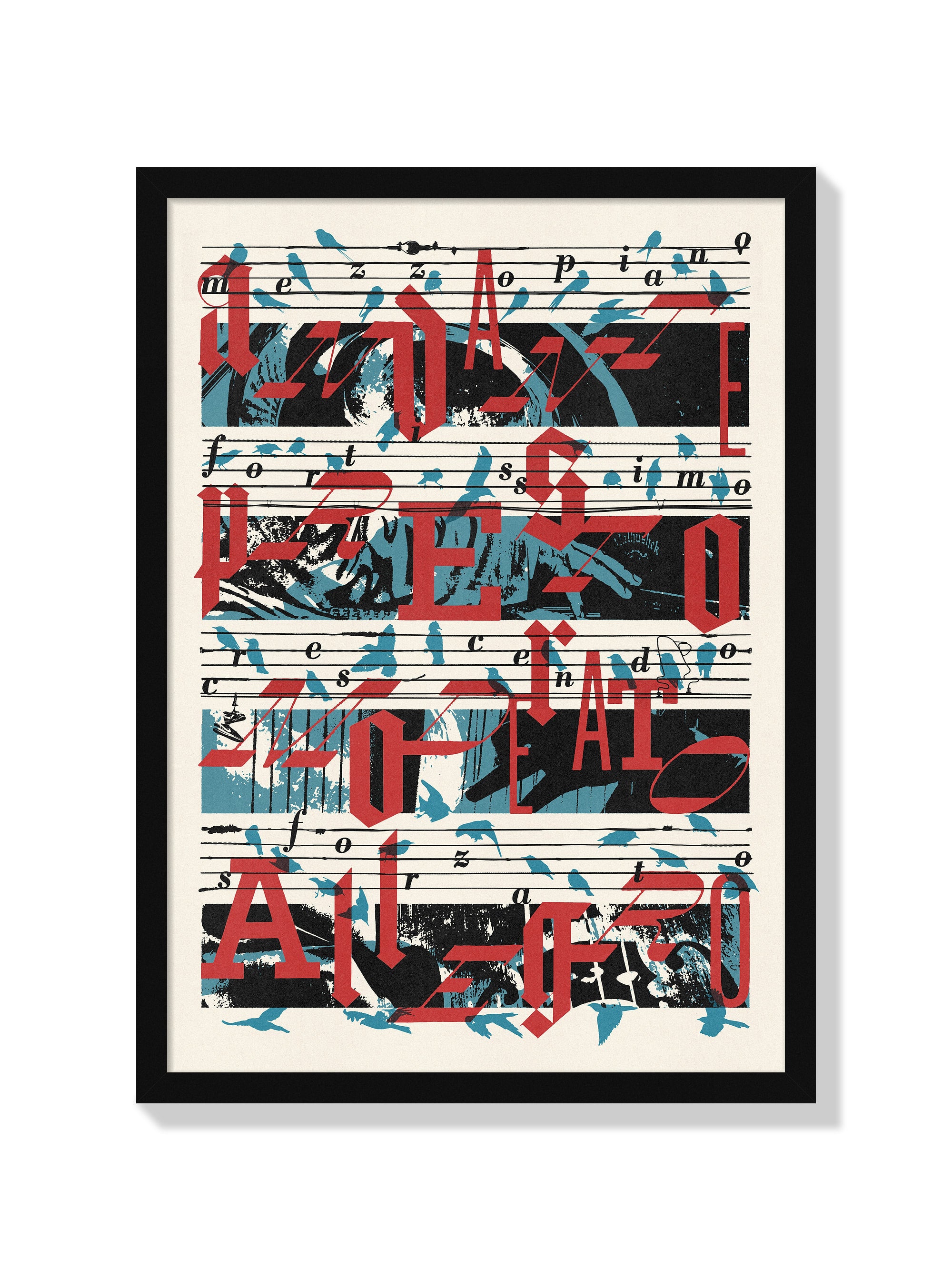Birdsongs - Mateus Teixeira - Black Frame |frame=Black Frame|