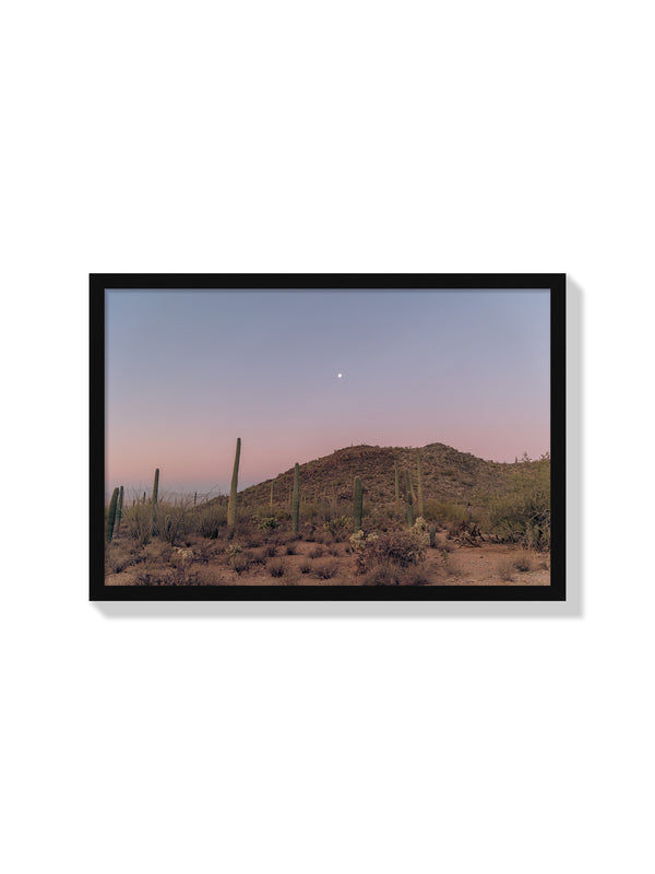 Desert Sunrise - Christina Bedetta Willett