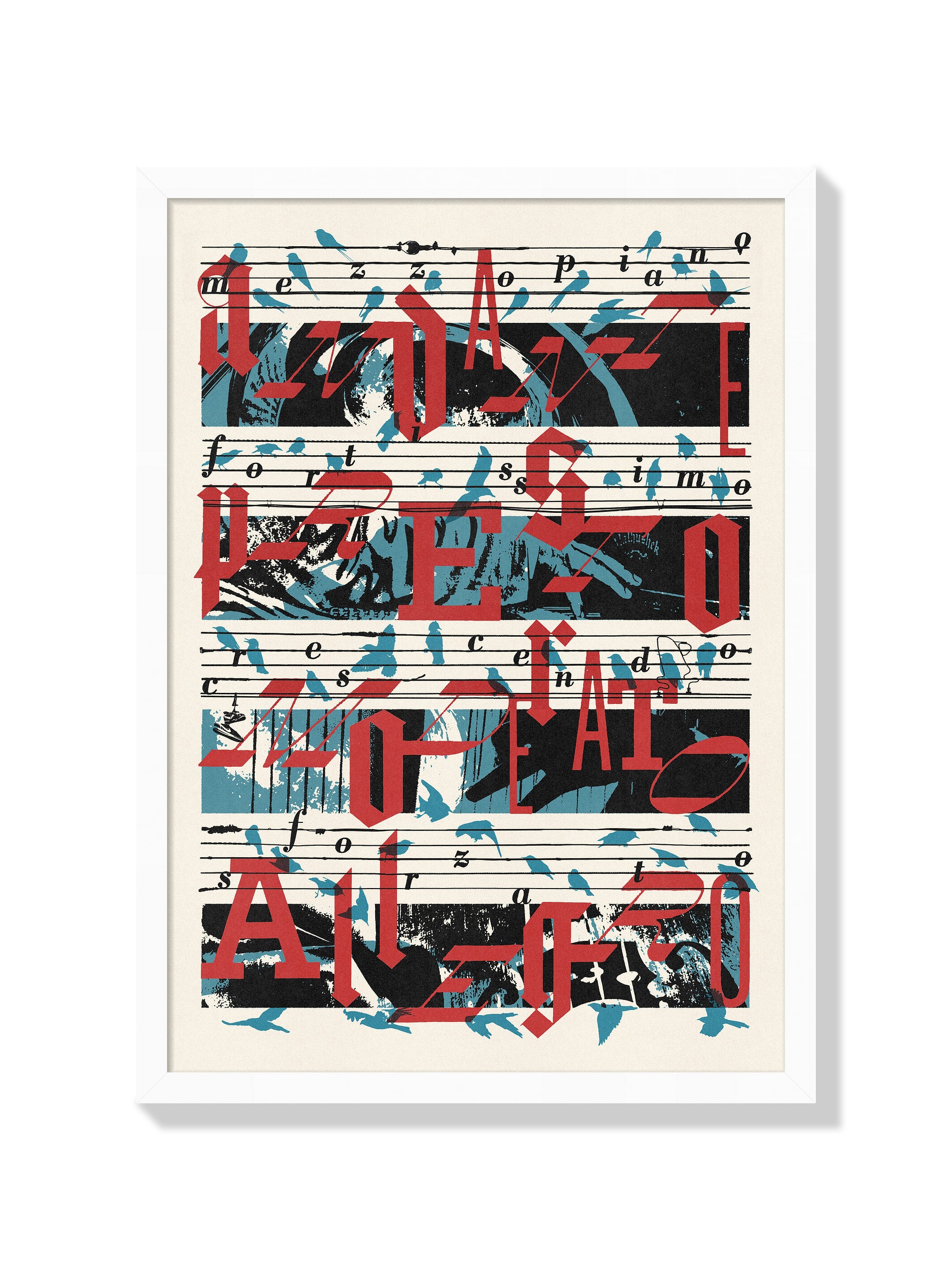 Birdsongs - Mateus Teixeira - White Frame |frame=White Frame|