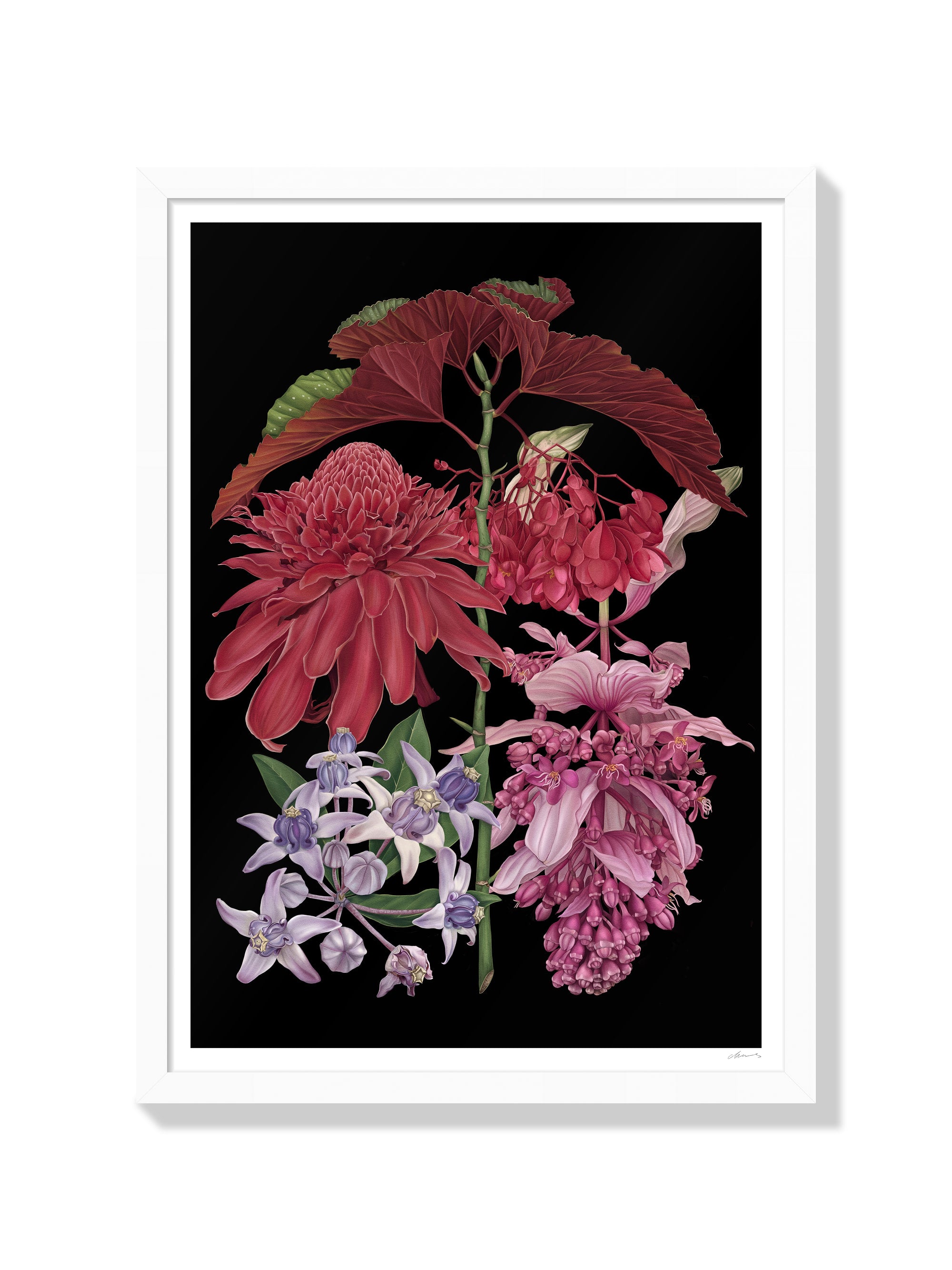 Bali - Chloe Shao - White Frame |frame=White Frame|