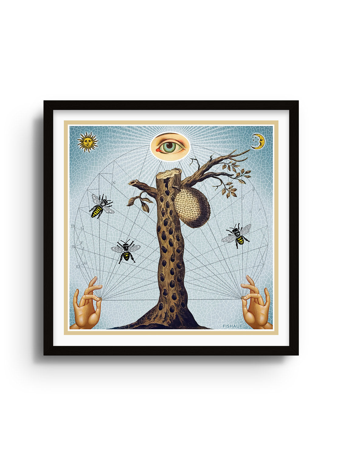 BEEHIVE - Louis Fishauf