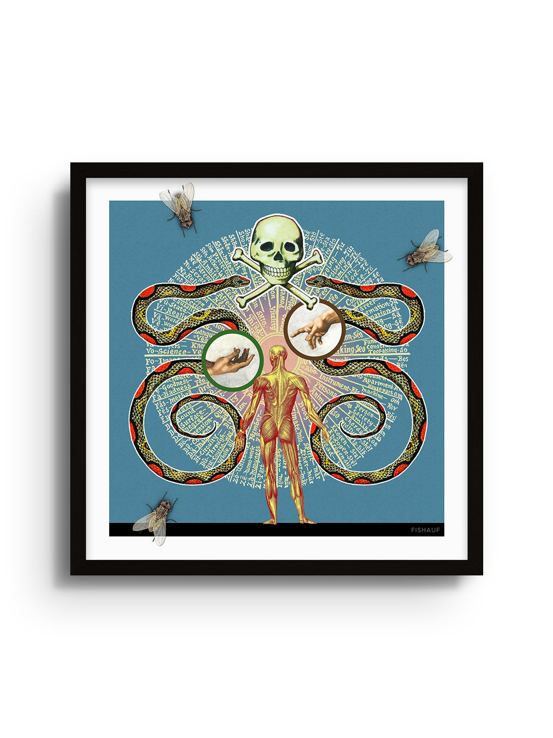 Book of Life - Louis Fishauf