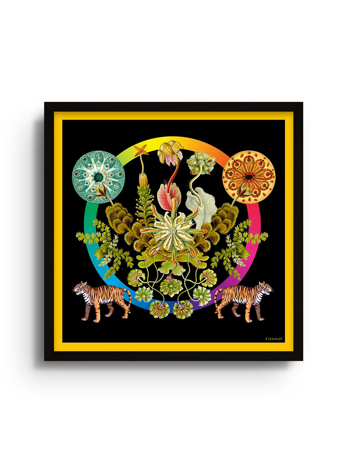 FLORA - Louis Fishauf