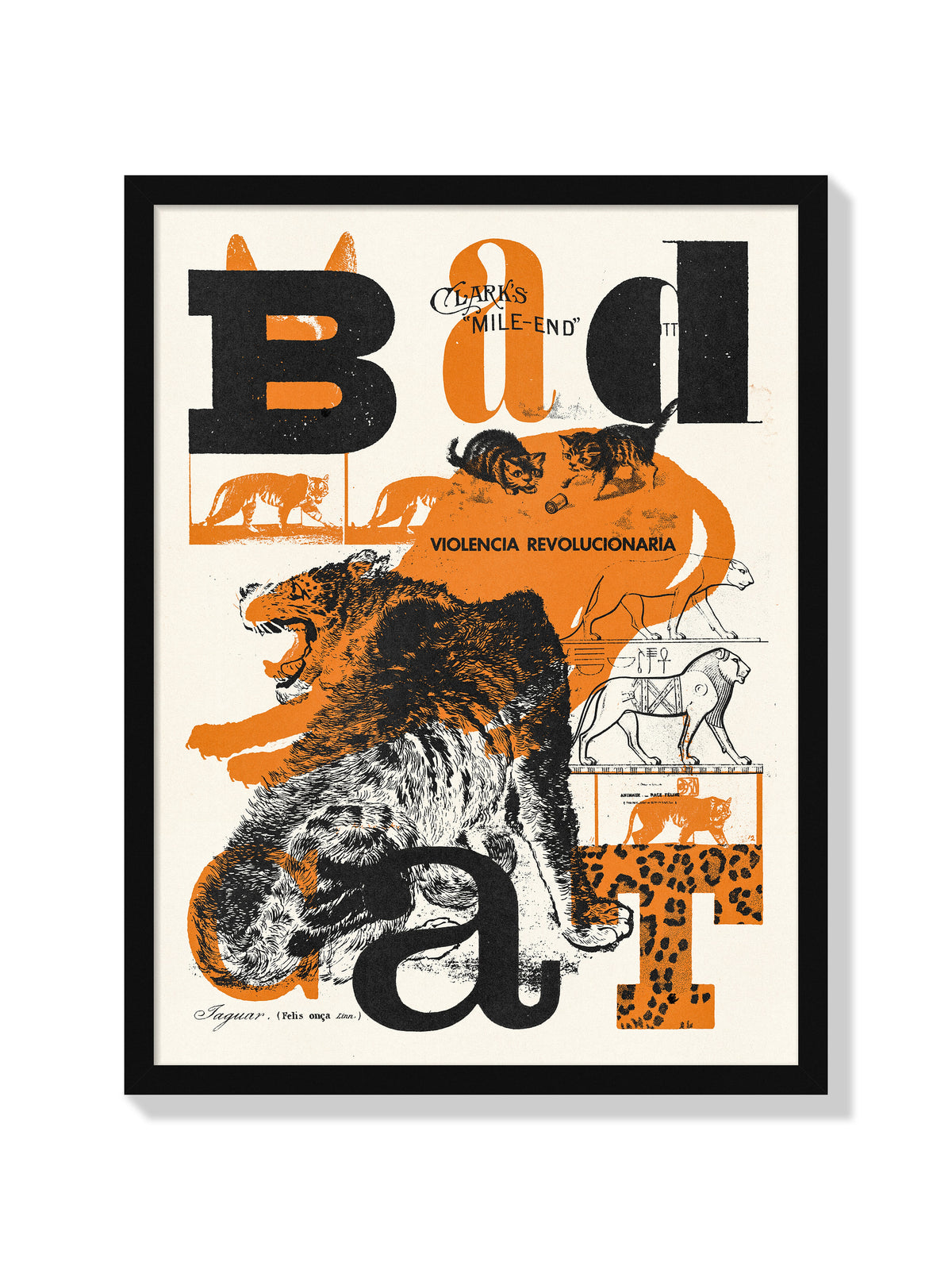 Bad Cat - Mateus Teixeira - Black Frame |frame=Black Frame|